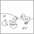 chickens