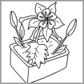 flowers4
